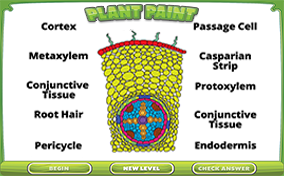 Plant Paint Thumbnail